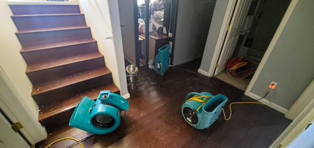 Best Water damage restoration services  in Lindale, TX