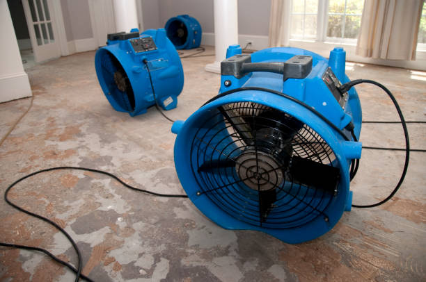 Best Fire Damage Restoration  in Lindale, TX