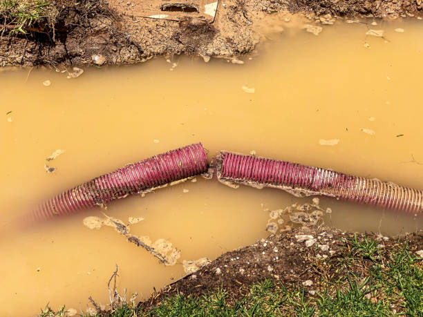 Best Flood restoration services  in Lindale, TX